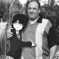 postpurge's profile picture. investing in memes