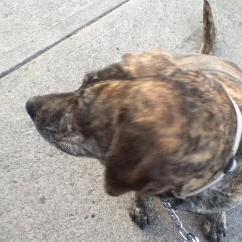 YuYungChang's profile picture. 