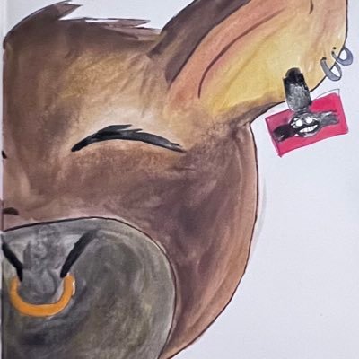 Cheli_208's profile picture. Casual Stob enjoyer and chronically online ambivert.Feel free to talk to me I just don’t like reaching out.Discord(Cheli_13) Priv for anyone: @Chela_priv