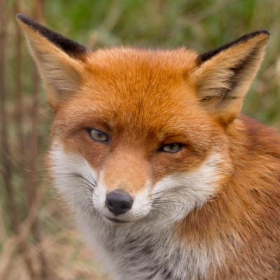 𝖬𝖠𝖸𝖮さんのプロフィール画像
