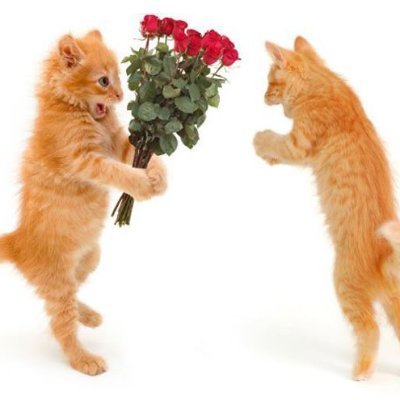 LGirl4u45483's profile picture. Hiiii!! im 18 year old bisexual woman. I don't know what else to say I'm pretty kinky(mdni!!!!)