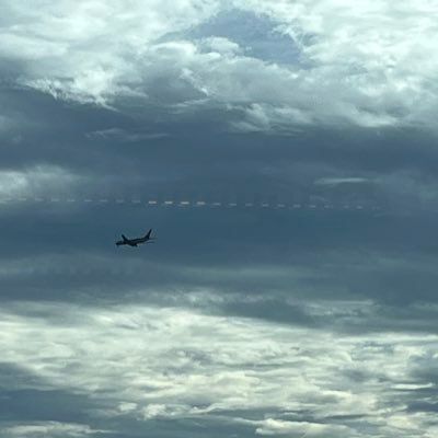 tarzanokakumaku's profile picture. 