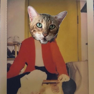 🐱🎵🧚♀️ Silly Cats Merch • tekan the link for details 🙋🏻♀️ #sillycats #kutipdontshop