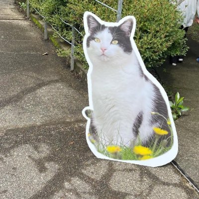 7VGfkumYUP35859's profile picture. ♂/180/78/北陸