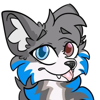 boandusktail's profile picture. Dusky furred flirt🐾 
RP and furry vibes 🦊 
just giving with cute sonas and soft chaos 
fuck scammers. DM open ☁️