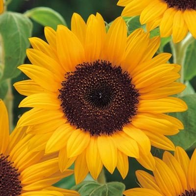 QW9ktSJSpp2332's profile picture. 