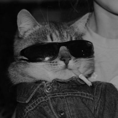 __MayankKashyap's profile picture. CSE 28' | ML and web dev | console.logging my coping mechanisms
