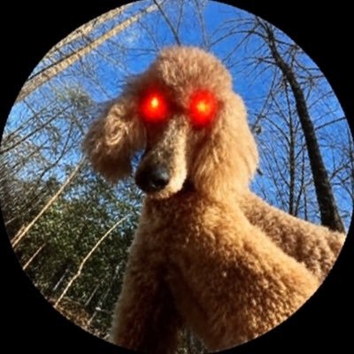 chriscraig2028's profile picture. 