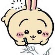 @wonscape