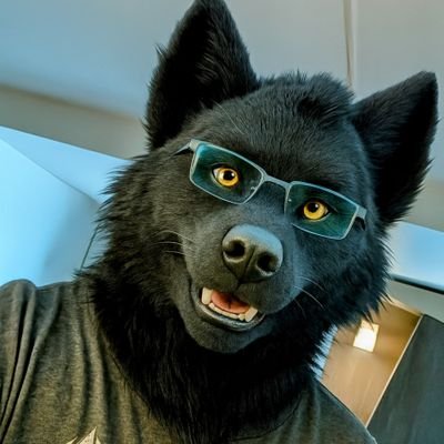 I'm Shadow Nightshade, Level 35 Wolf. MDNI, 18+, NSFW. Loves video games, anime, and chatting. Male, Bi and Collared
