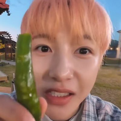 εїз taeyeon 𓂃⊹ ִֶָ 7dream 넝인준 wish ryo ੭ৎ say the name svt!🍒🍊 ˚ · .˚ ༘ @T1Keria