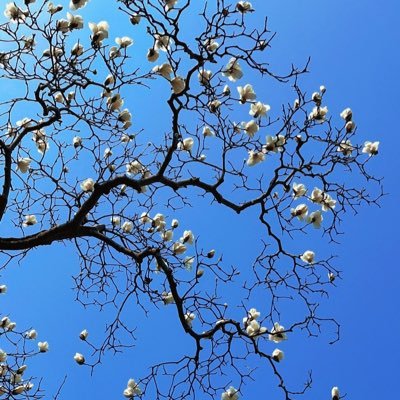 xinchen2021's profile picture. 