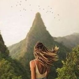 Alnivu895927's profile picture. 