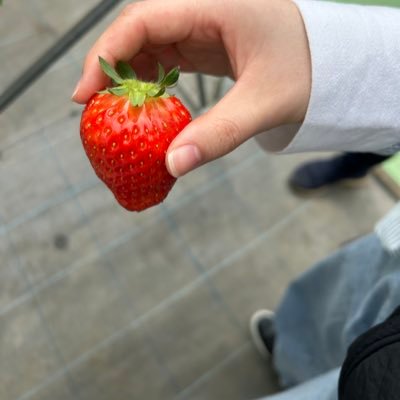 nobanana_560's profile picture. 