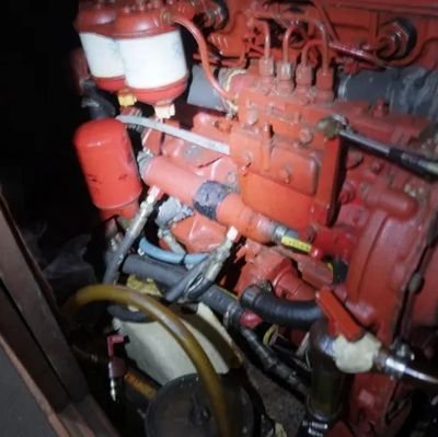 FediSuhend39160's profile picture. 