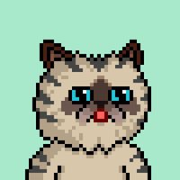 keat.ton (@keat7sushhh) 's Twitter Profile