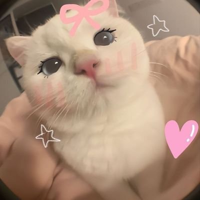 sameerjha285998's profile picture. 