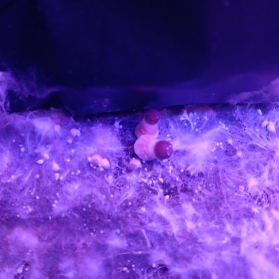 d_potter41735's profile picture. 