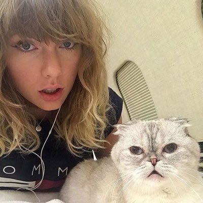 ⪩ ﹒ ⪨﹒EDTWT ⌗ . 🍂★. . 8teen 🪵 zZ . . she/her ﹕ ♡ !?!
