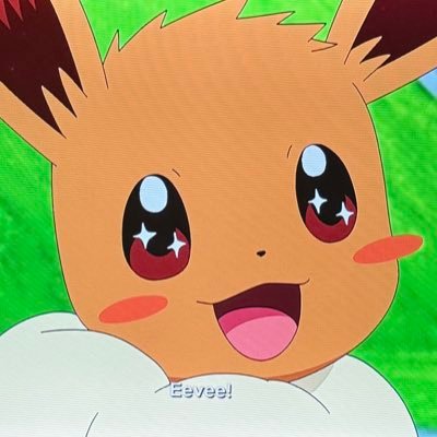 Pokémon Twitch streamer ! Lover of all things pink, classical musician of 19 years , punk bassist , multimedia artist , dog handler 💕