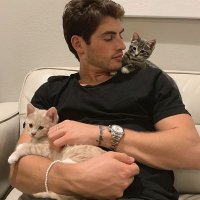 BitDivs (@bitdivs) 's Twitter Profile