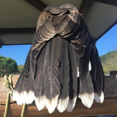 k19RXn3dDmm8101's profile picture. 