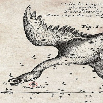 maironpontifex's profile picture. A moderate conservative. Elon and Thiel are always right. AI FIRST. Either we build ASI or everyone dies (of old age or WW3).