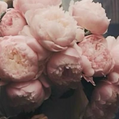 Shehanh52038862's profile picture. 