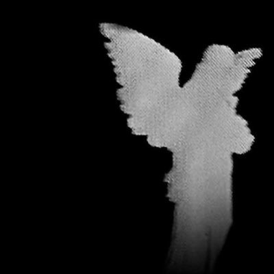 Tuesday22351839's profile picture. 𝐖𝐈𝐌𝐁𝐎!