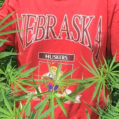 I am the 11th generation of my family in the USA.
That which does not kill me had better run pretty damn fast!
#NEBRASKA
I remember OCCUPY the CRYPTO-SPYGATE
