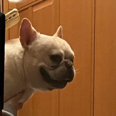 igiyoutube24's profile picture. 楽しくゲームしてる人🎮 予定がなければ毎日23時から26時までの間で配信してます！コメントしてくらはい。無言フォローすいません💦