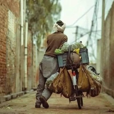 irfannasirRYK's profile picture.