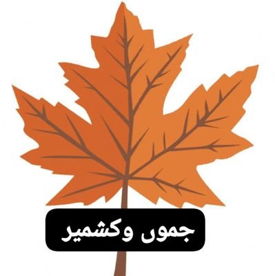 Furqaan🍁🇵🇰💕 Profile