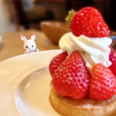 yu1493351's profile picture. famm webデザイン8月期卒🎓