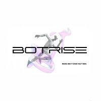 BotRise (@botrise3000) 's Twitter Profile Photo BotRise (@botrise3000) 's Twitter Profile Photo