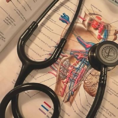 Top distributor for ivermectin & other essential meds, fast and secure delivery 🚚 world wide, A Doctor & Mycologist.. psychedelic stores.... health first 🥇