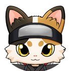@NinjaCatsTactic