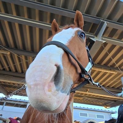 駆足B初心者まる(ex.スパナのボーカル)さんのプロフィール画像