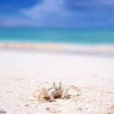 MM47877's profile picture. 