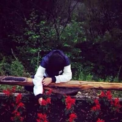 BingyiL86282's profile picture. 