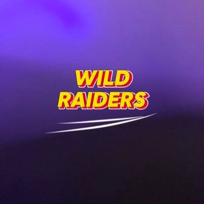 wild_raider19's profile picture. Founder @_Deosky ….Most effective raid team on the space