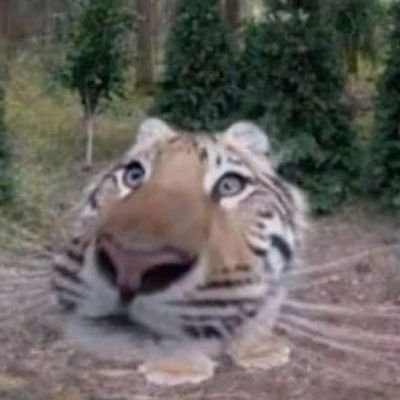 cacluctolucnho's profile picture. aiiii fwb ons gì hongggg