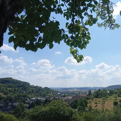 Diplom-Physiker, Umweltberater und Abfallberater im Ruhestand, Rentner seit 2024 wegen zweier Schlaganfällen in 2022; Mitglied u.a. bei den Linken und VDK WDS.