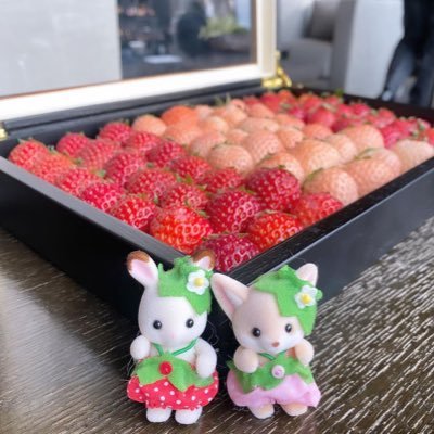 aaa_yase_'s profile picture. 大阪在住韓国人２０歳ダイエット🫧