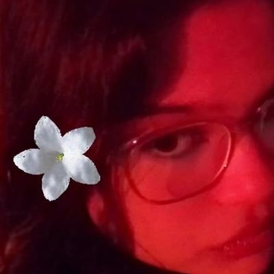 SobokYw's profile picture. 