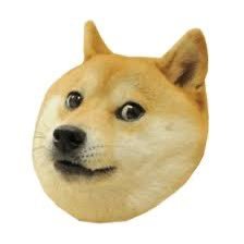 Reversing | Bug Hunting | Memes | Coherent rambling | Incoherent rambling