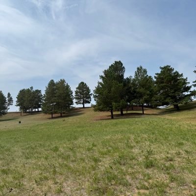 bujinhee's profile picture. Liking and reposting what matters