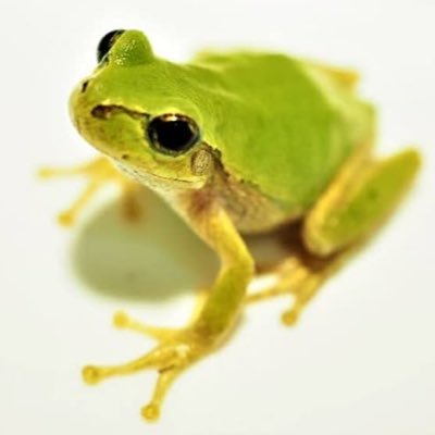 f15J3pqEGD11468's profile picture. 