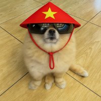 Thecorn33 🐶🛹🕶️ ( Kori Koded ) (@thecorn33k) 's Twitter Profile