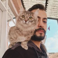 Feyzullah (@f5feyz) 's Twitter Profile